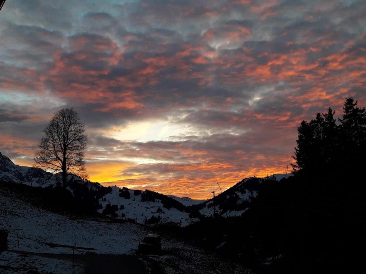 Ferien In Der Bergwelt Von Adelboden Panzió Kültér fotó