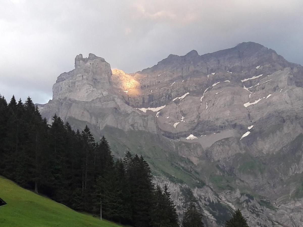 Ferien In Der Bergwelt Von Adelboden Panzió Kültér fotó