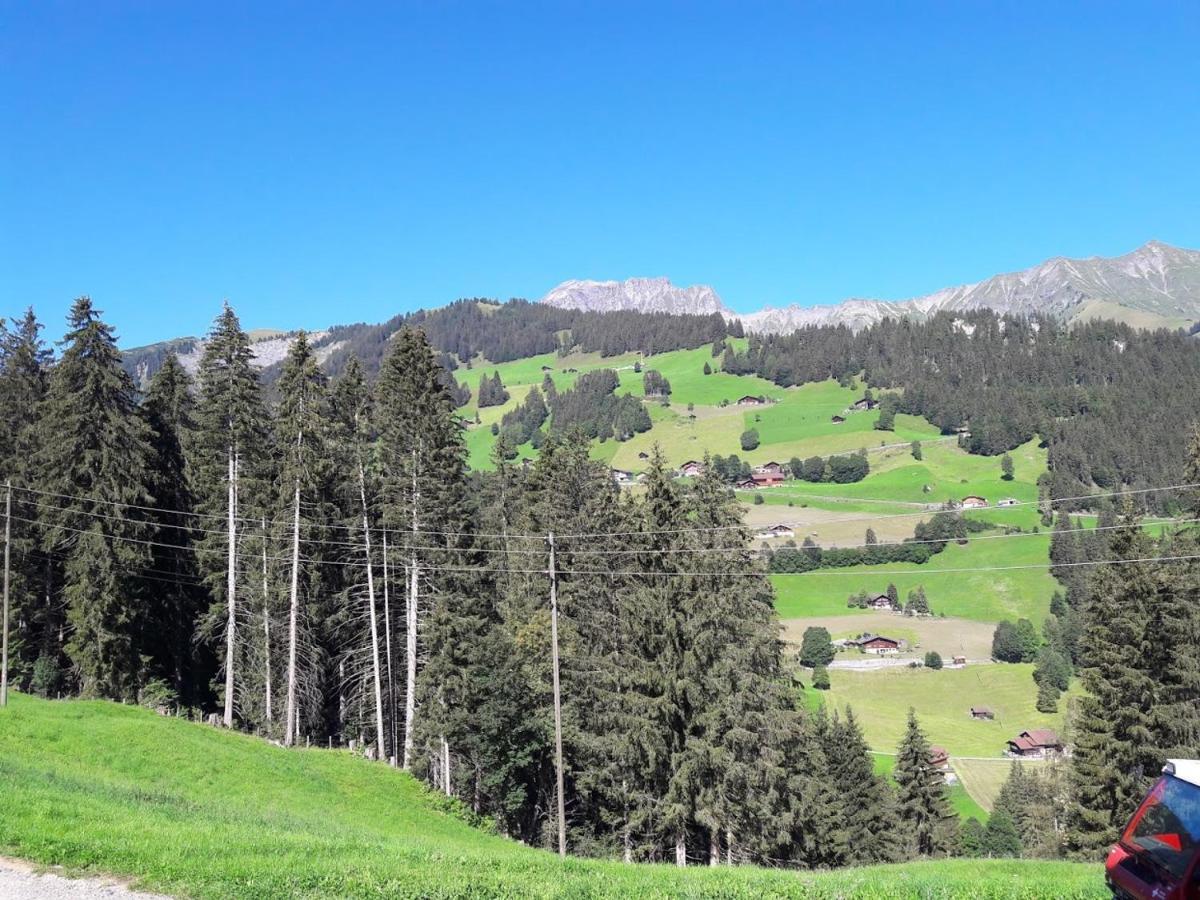 Ferien In Der Bergwelt Von Adelboden Panzió Kültér fotó